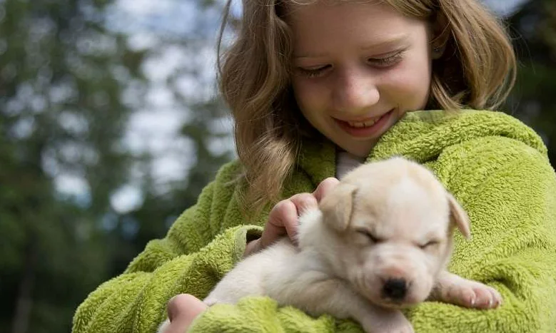 Alaska X guest holding a sleeping sled-dog puppy